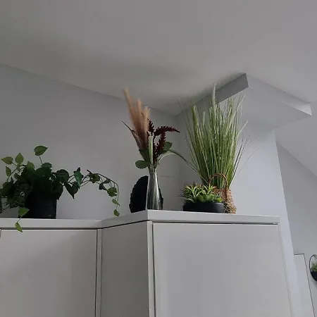 Apartment Horfield House