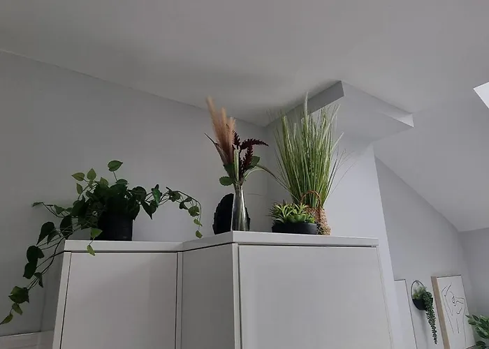 Appartement Horfield House